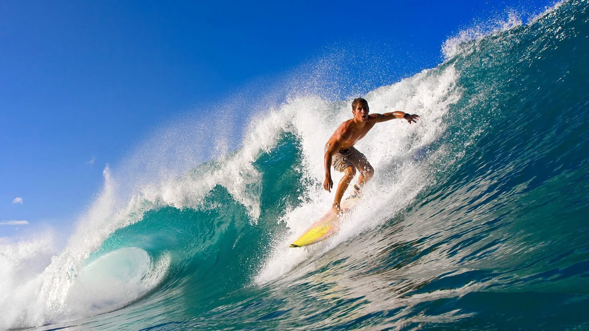 开云体育官网-新王登基，班凯罗完美发挥，魔术力克雄鹿